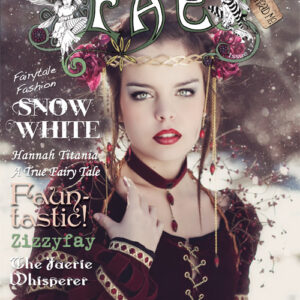 FAE issue 17 winter 2011