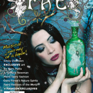 FAE issue 10 spring 2010