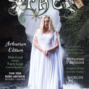FAE issue 41 Spring 2018