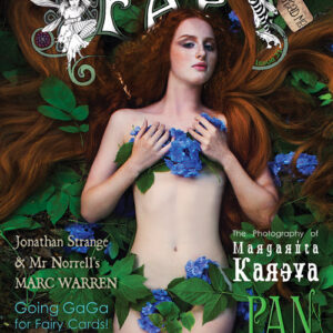 FAE issue 31 summer 2015