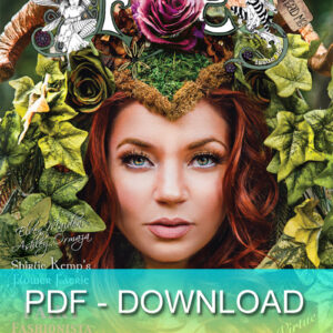 FAE issue 35 summer 2016 PDF