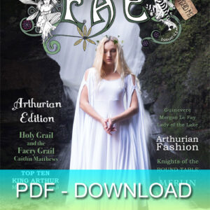 FAE issue 41 winter 2017 PDF